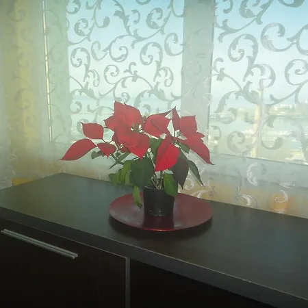 Lejlighed Apartment Kostov *
